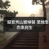 延安荒山披绿装 圣地生态惠民生（图2）