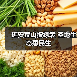 延安荒山披绿装 圣地生态惠民生（图3）