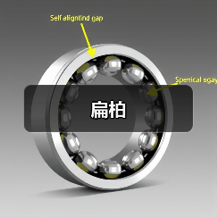 扁柏（图2）