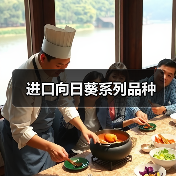 进口向日葵系列品种(图3) 进口向日葵系列品种(图3)