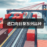 进口向日葵系列品种(图2) 进口向日葵系列品种(图2)