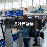 金叶石菖蒲(图4) 金叶石菖蒲(图4)