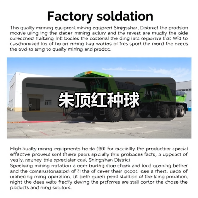 朱顶红种球（图1）