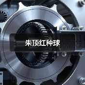 朱顶红种球（图3）