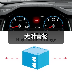 大叶黄杨（图1）