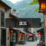 丝兰（图1）