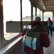 木槿（图1）