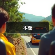 木槿（图3）