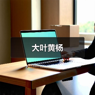 大叶黄杨(图3) 大叶黄杨(图3)