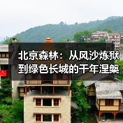 北京森林:从风沙炼狱到绿色长城的千年涅槃(图2) 北京森林:从风沙炼狱到绿色长城的千年涅槃(图2)