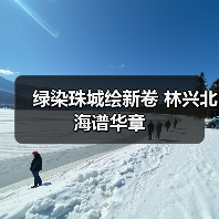 绿染珠城绘新卷 林兴北海谱华章（图4）