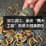 浙江浦江:推进“两大工程”构筑全域美丽生态画卷(图1) 浙江浦江:推进“两大工程”构筑全域美丽生态画卷(图1)