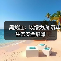 黑龙江：以绿为底 筑牢生态安全屏障（图1）