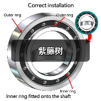 紫藤树（图1）