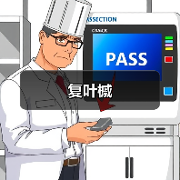 复叶槭(图2) 复叶槭(图2)