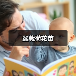 盆栽荷花苗（图3）