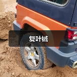 复叶槭(图1) 复叶槭(图1)
