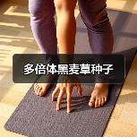多倍体黑麦草种子（图4）