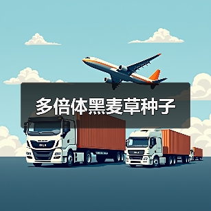 多倍体黑麦草种子（图1）