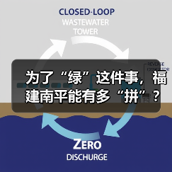 为了“绿”这件事,福建南平能有多“拼”?(图4) 为了“绿”这件事,福建南平能有多“拼”?(图4)
