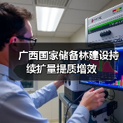 广西国家储备林建设持续扩量提质增效(图2) 广西国家储备林建设持续扩量提质增效(图2)