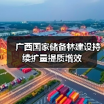 广西国家储备林建设持续扩量提质增效(图1) 广西国家储备林建设持续扩量提质增效(图1)