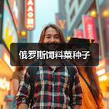 俄罗斯饲料菜种子（图1）