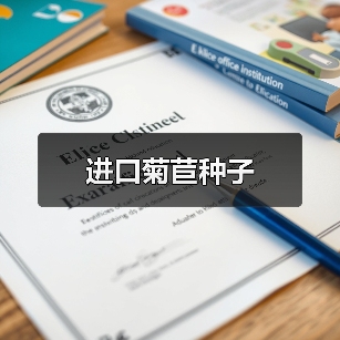 进口菊苣种子（图1）