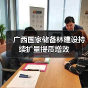 广西国家储备林建设持续扩量提质增效(图3) 广西国家储备林建设持续扩量提质增效(图3)