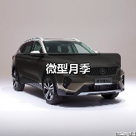 微型月季（图3）