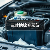 三叶地锦容器苗（图4）