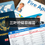 三叶地锦容器苗（图2）