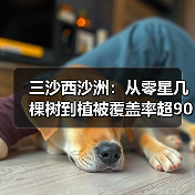 三沙西沙洲:从零星几棵树到植被覆盖率超90%(图1) 三沙西沙洲:从零星几棵树到植被覆盖率超90%(图1)