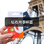 钻石月季杯苗（图2）
