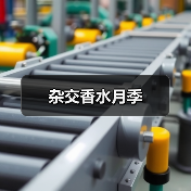 杂交香水月季（图4）