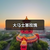 大马士革玫瑰（图4）