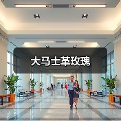 大马士革玫瑰（图3）