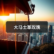 大马士革玫瑰（图1）