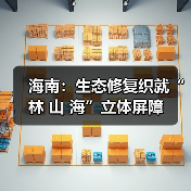 海南：生态修复织就“林 山 海”立体屏障（图4）