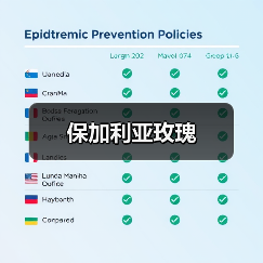 保加利亚玫瑰(图2) 保加利亚玫瑰(图2)
