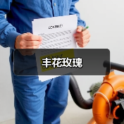 丰花玫瑰(图2) 丰花玫瑰(图2)