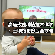 高原玫瑰种植技术详解:土壤施肥修剪全攻略(图1) 高原玫瑰种植技术详解:土壤施肥修剪全攻略(图1)