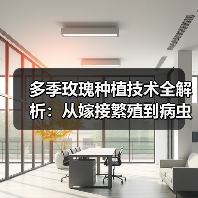 多季玫瑰种植技术全解析:从嫁接繁殖到病虫害防治指南(图3) 多季玫瑰种植技术全解析:从嫁接繁殖到病虫害防治指南(图3)