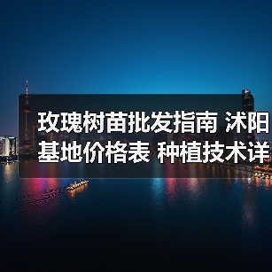 玫瑰树苗批发指南 沭阳基地价格表 种植技术详解(图3) 玫瑰树苗批发指南 沭阳基地价格表 种植技术详解(图3)