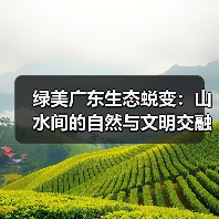 绿美广东生态蜕变:山水间的自然与文明交融(图3) 绿美广东生态蜕变:山水间的自然与文明交融(图3)