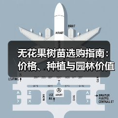 无花果树苗选购指南：价格、种植与园林价值（图2）