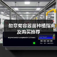 勋章菊容器苗种植指南及购买推荐（图2）