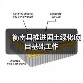 衡南县推进国土绿化项目基础工作(图2) 衡南县推进国土绿化项目基础工作(图2)