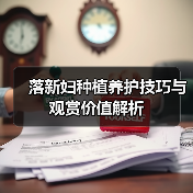 落新妇种植养护技巧与观赏价值解析(图4) 落新妇种植养护技巧与观赏价值解析(图4)