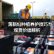 落新妇种植养护技巧与观赏价值解析(图2) 落新妇种植养护技巧与观赏价值解析(图2)